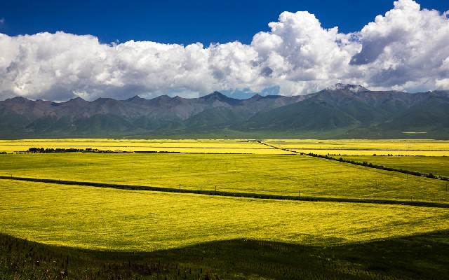 深圳医保怎么提现金_骗花呗套路