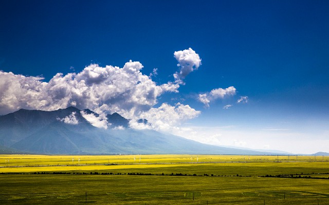 羊小咩享花卡提现技巧_白条额度充值怎么取出来