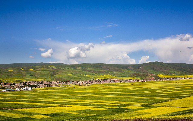 京东白条套现20%_北京医保取出