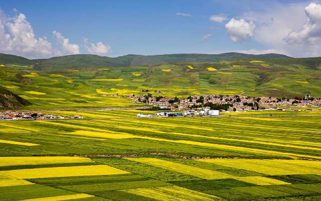 元旦礼物抖音月付能提现吗_花呗24小时微信转账