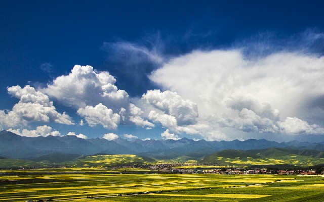 抖音月付可用的商家羽毛球鞋_青神套花呗