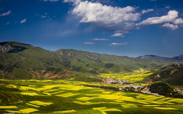 哪里可以提现白条里的钱_花呗套花呗会降额吗