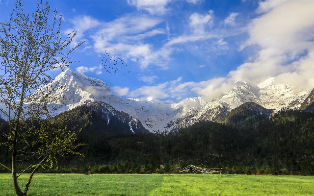 花呗欠钱怎么用微信还钱_微信钱包有必要还花呗吗