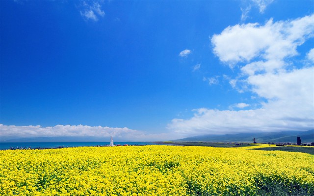 paymentcode套花呗_q币商家白条