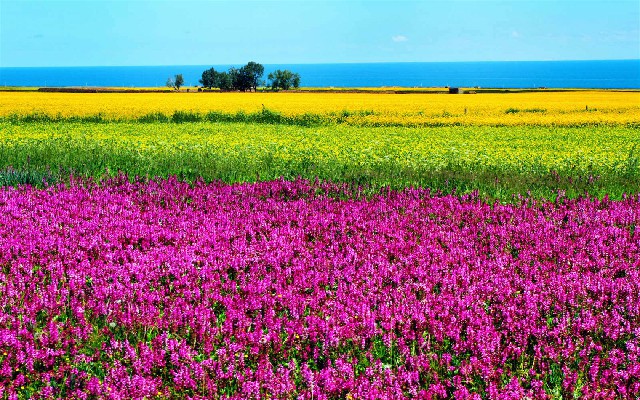 花呗套钱给别人_联通套餐花呗扣款