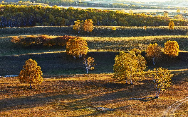 车主白条套现_现在花呗怎么套现