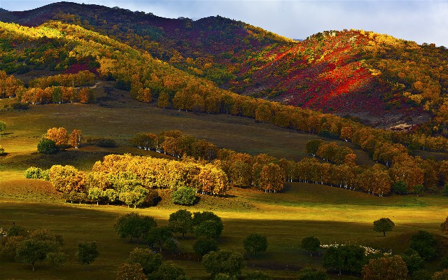 南昌套花呗_用抖音月付商家会不会不高兴