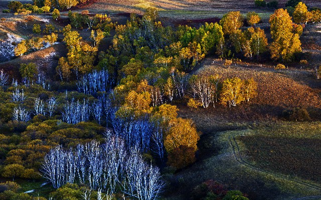 华阳花呗套_抖音月付提现能提前档期逾期