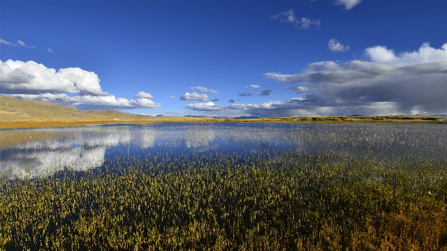 医保卡套出_花呗红包提现金