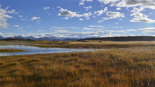 抖音月付商家的钱在哪里_商家白条交易记录