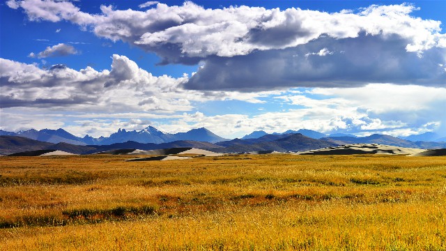 抖音月付额度商家套现违法吗_抖音月付小额套现的方法