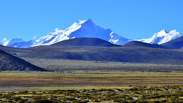 花呗商家邀请_花呗转花呗怎么提现