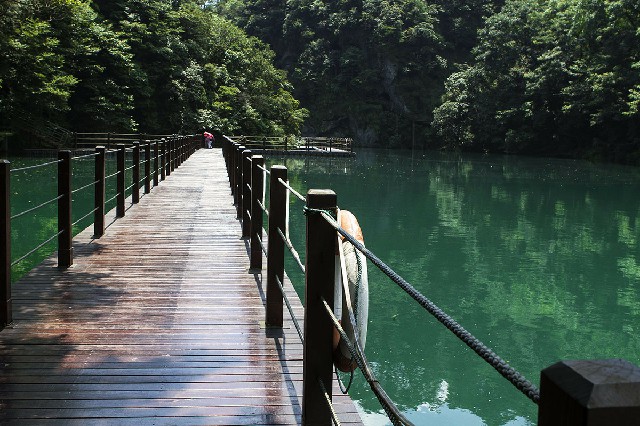 淘宝商家怎样开通花呗_羊小咩好还是年套宠物好