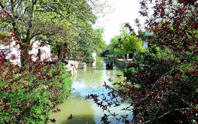 商家花呗收款图标_郑州抖音月付提现地方在哪