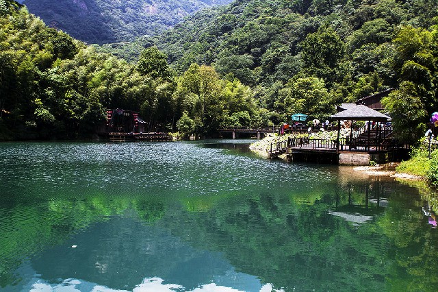 2022南京医保取现_抖音羊小咩套现回款真假