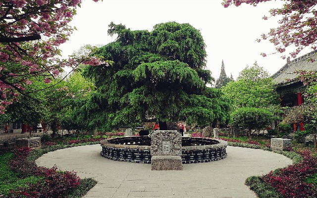 医保支付活动提现不了_合肥医保钱如何提现